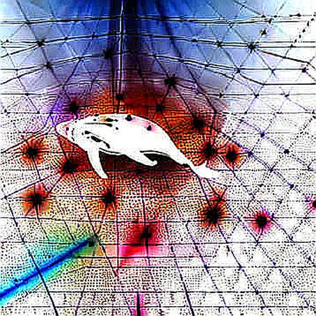 The Framework That Said No: Why Data Integrity Beats Velocity in Crypto Analysis The Framework That Said No: Why Data Integrity Beats Velocity in Crypto Analysis