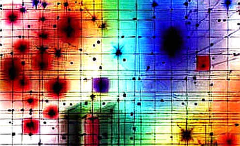 The Silent Schism: When a Layer2's Security Gospel Divides Its Own Believers The Silent Schism: When a Layer2's Security Gospel Divides Its Own Believers