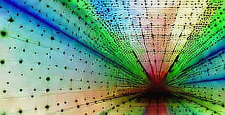 The Information Asymmetry Machine: Truth Social’s API and the Decentralization Imperative The Information Asymmetry Machine: Truth Social’s API and the Decentralization Imperative